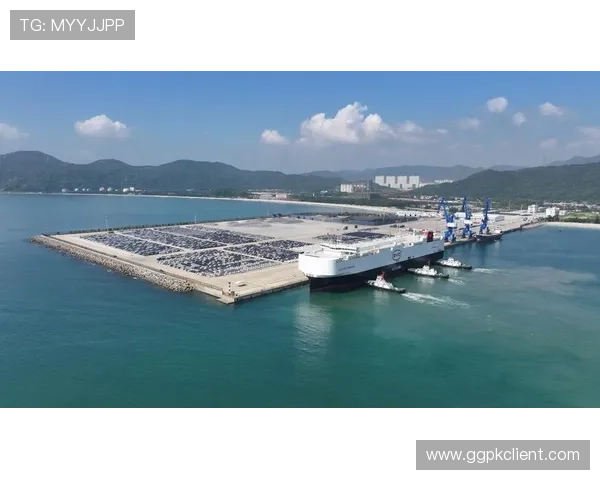 公海网上赌船对国际海洋安全的影响分析