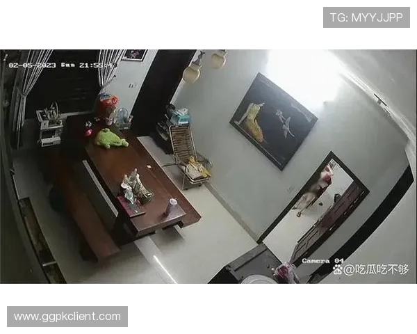 恒利线上娱乐注重用户隐私保护，打造安全私密的线上娱乐环境